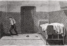 Kit de supervivencia para la salud mental, capítulo 5: Kit de supervivencia para jóvenes psiquiatras en un sistema enfermo (parte 5)