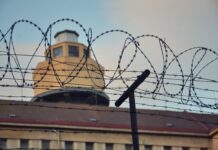 Sobre el acceso a la justicia: ¿Qué son las adaptaciones procesales?