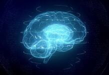 Un Cerebro para Emanciparnos