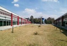 Acompañando la locura en el contexto institucional (Parte 3)